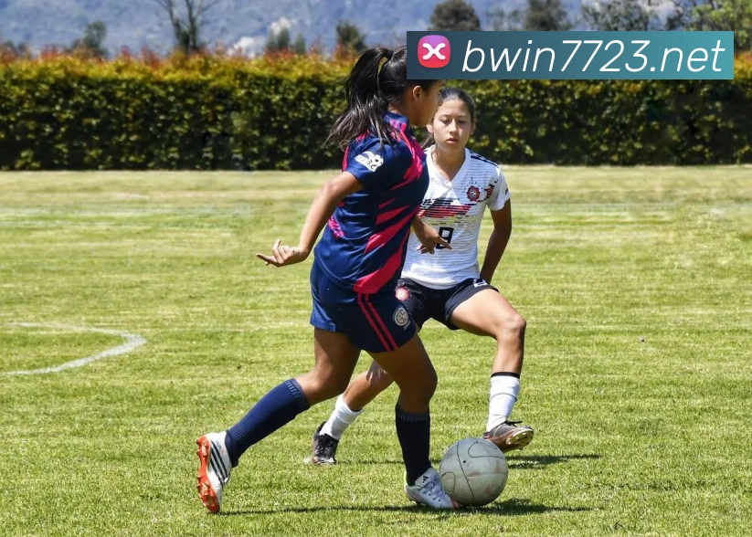 互动解说服务
